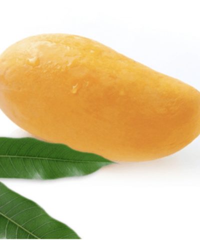 مانجو