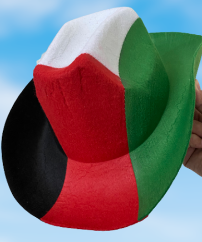 قبعة العلم